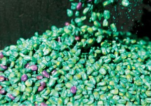 Seed treatment types in Seedpoly India