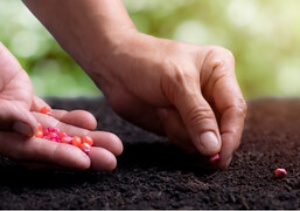 Seed Treatment Polymers Exporters