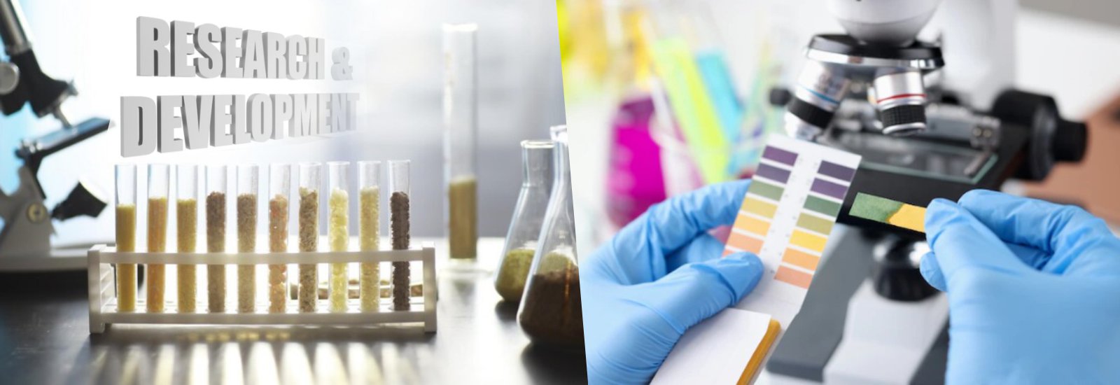 Seedpoly Research & Development India