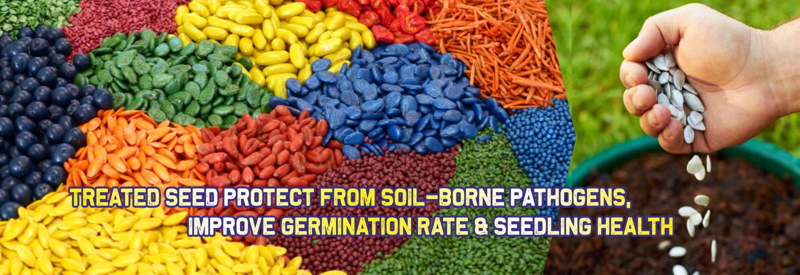 Seedpoly Seed Coating Polymer