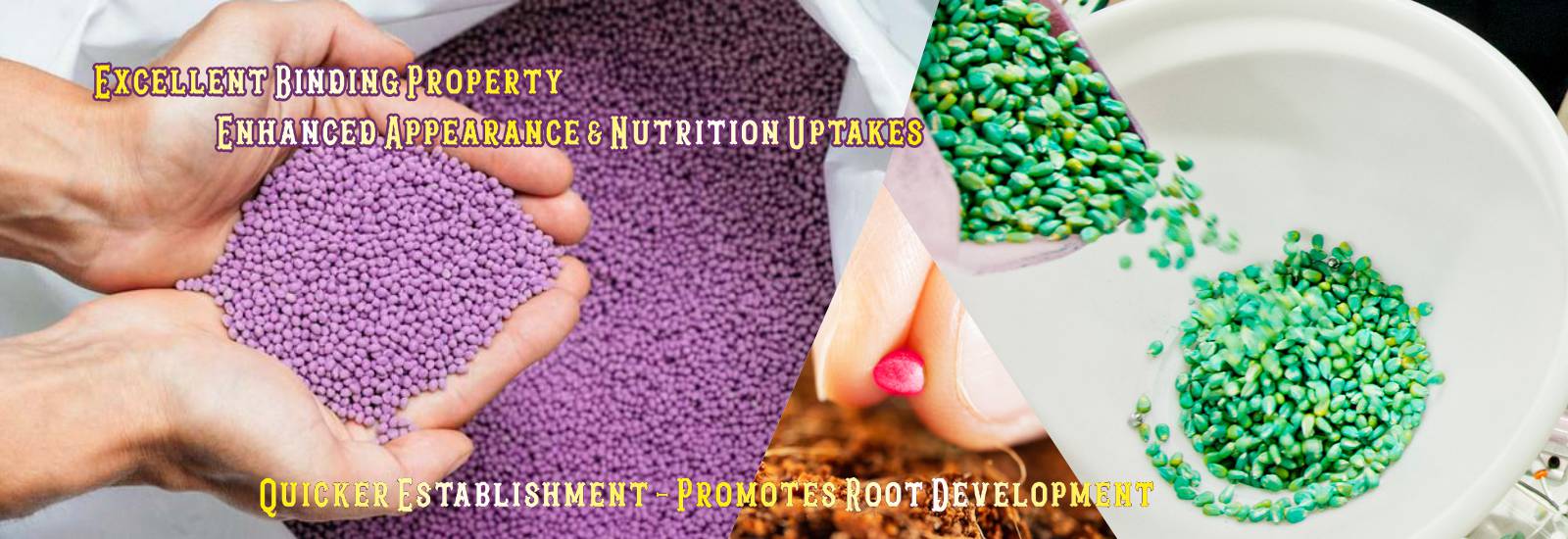 Seed Enhancement Coating Exporters