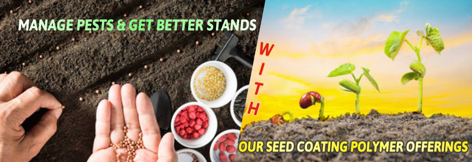 Seed Polymer India