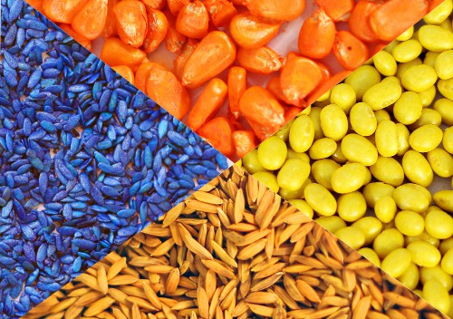 Seed Coating Polymer exporters Indonesia